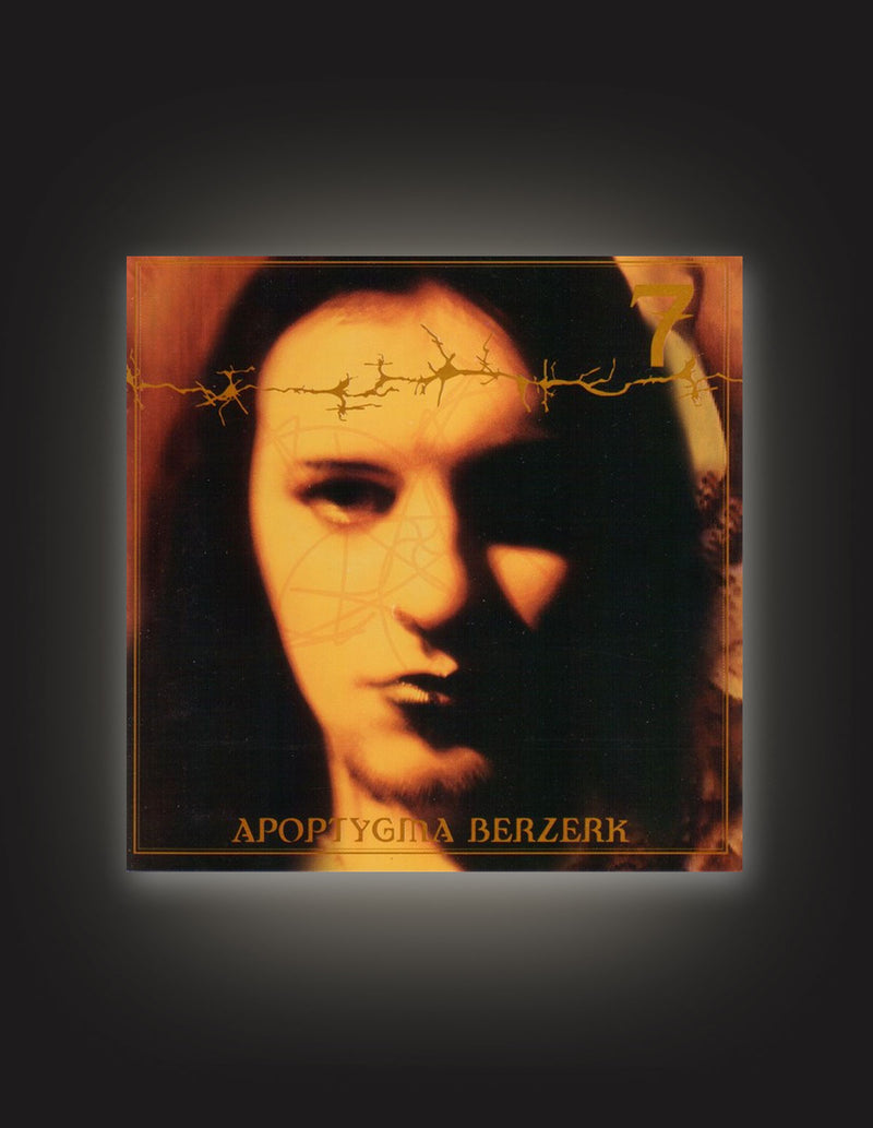 洋楽 ammo CD APOPTYGMA BERZERK 